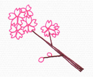桜の花と枝の描き方